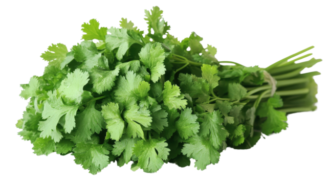 Fresh kale bunch with curly dark green leaves and thick stems, Transparent background, PNG file