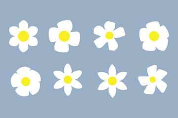 Abstract Groovy Daisy Chamomile Flowers Set, Chamomile White Yellow Icon Flat Design Collection , Chamomile Daisy  Set,   Abstract Minimal Daisy Elements.