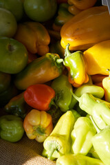assorted peppers at the farmers market
