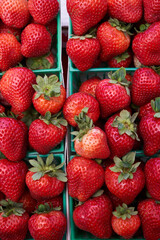 fresh strawberries at the farmers market