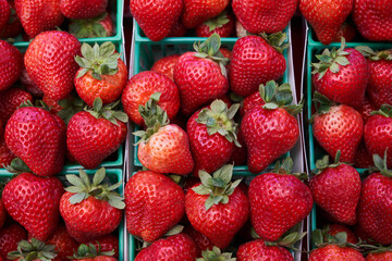 Strawberries at the farmers market