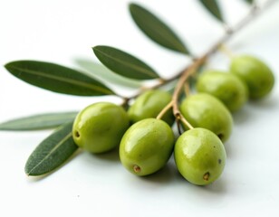 Obraz premium Fresh olive branch with green olives. Smooth texture, vibrant color against white background. Mediterranean food ingredients for cooking healthy organic vegetarian meals. Harvest, culinary, nutrition