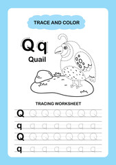 Illustration Isolated Animal Alphabet Trace and color Letter Q-quail