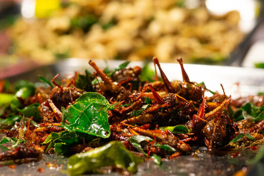Fried grasshoppers with herbs at a Thai street food stall