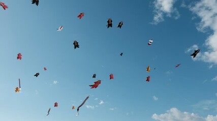 Colorfull Kite on the sky, with blue sky, Kite Festival, bali traditional kite, bali giant kite