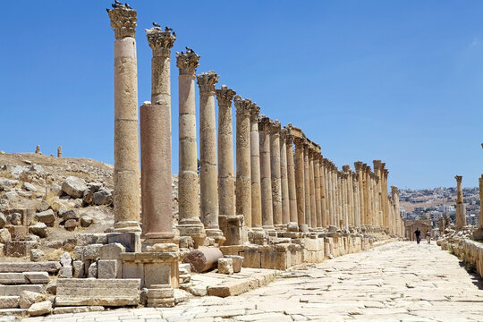 Fototapeta Colonnaded street at the ancient city of Gerasa, now Jerash, Jordan