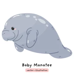Gardinen Meerestiere Cute manatee sea cow dugong cartoon illustration vector  © Saltyarts design