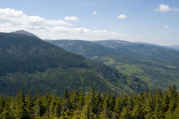 Distant Sniezka with Forest View