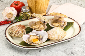 Raw fresh scallops in the shell
