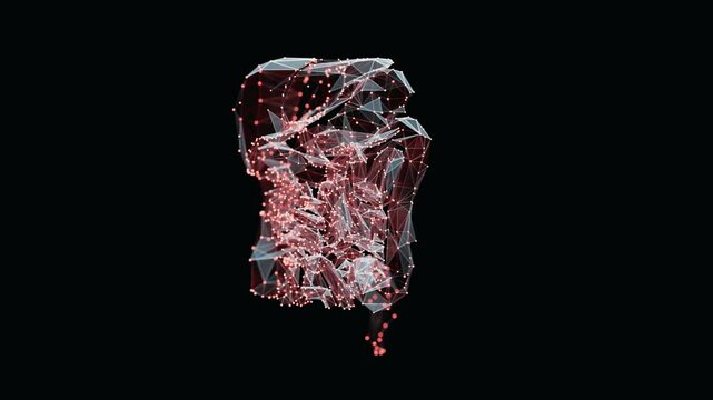 3d animation of a vibrant, low-poly digestive system turn-table over dark background. Human digestive system wireframe made of light points. Seamlessly loopable video
