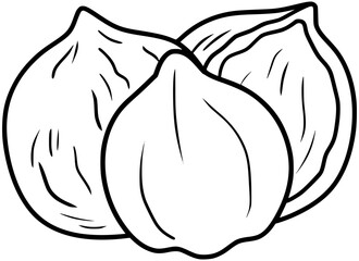Candlenuts Vector Outline Line Art Drawing