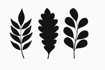 Elegant Silhouette Leaf Set Botanical Illustrations for Design Projects