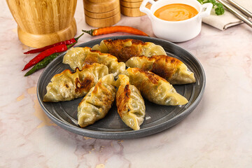 Japanese fried Gyoza stuffed dumplings