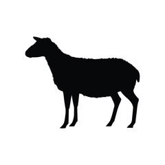 Silhouette of a sheep in a standing pose on a white background. Simple black outline design perfect for use in agriculture, farm-related graphics, or minimalist animal illustrations.