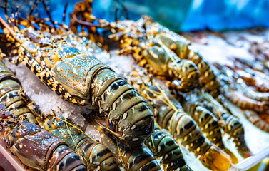 Lobsters sold at Bangla Night Market in Patong, Phuket, Thailand