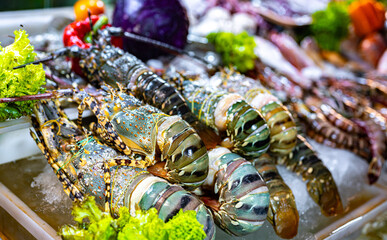 Lobsters sold at Bangla Night Market in Patong, Phuket, Thailand
