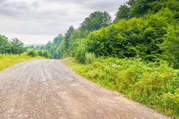 gravel road runs through rural landscape of transcarpathia. peaceful scenery with country way among forested hills. cloudy summer sky. travel backgground for rustic farmland area