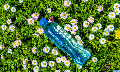 A bottle of drinking water stands among the daisies
