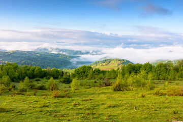 countryside mountain landscape with morning fog. alpine scenery of sunny transcarpathia under blue sky with clouds. forest behind the meadow on the edge of a hill. distant rural valley in mist