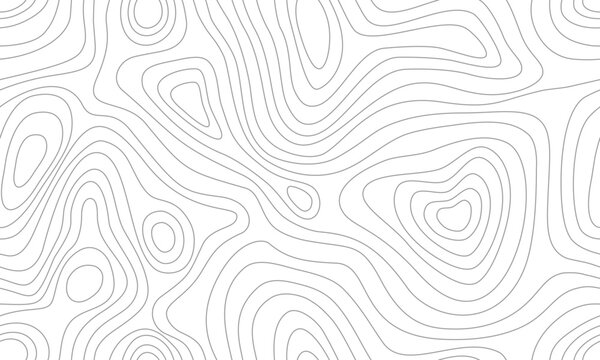 Grey contour line seamless background. Vector Repeating Texture.