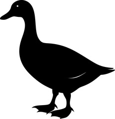 Monochrome duck silhouette vector illustration on white

