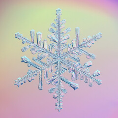 snowflake real winter natural macro crystal photo beautiful snowflake shape design