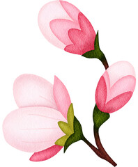 Fototapeta premium sakura branch watercolor
