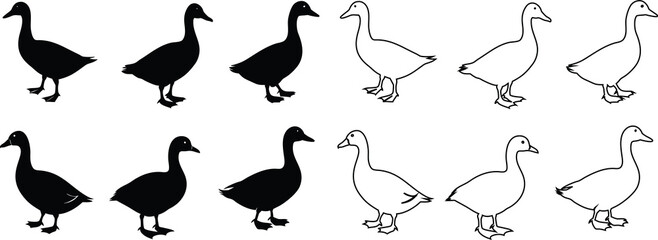Duck outline and silhouette icons collection, vector illustration

