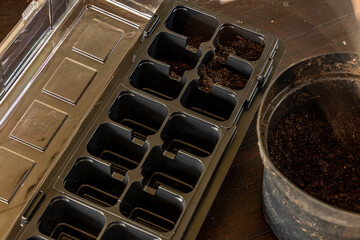 Plastic containers for molde seedlings plants, transplanting plants, plastic pots with soil,