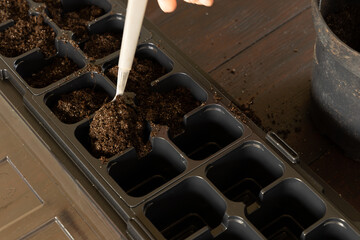 Plastic containers for molde seedlings plants, transplanting plants, plastic pots with soil,