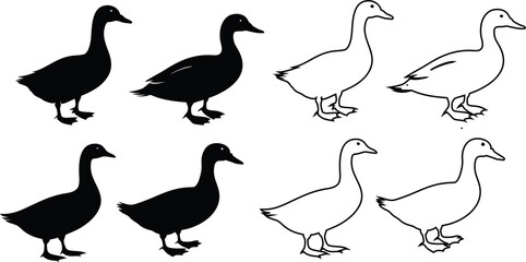 Duck vector bundle with silhouette and outline versions on white
