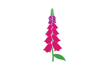 Foxglove flower with tall stem and petal details in floral line art vector art illustration © raton