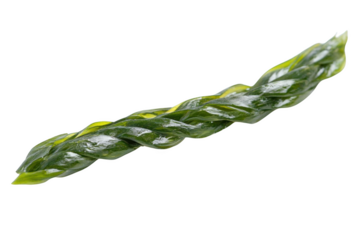 examine green twist, glossy leaves and plant stem, organic style, nature theme