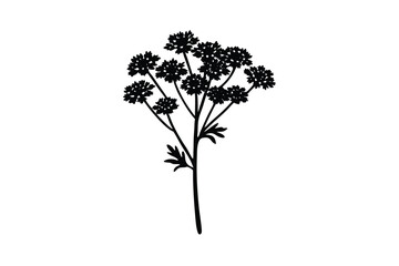 Yarrow flower illustration in fine botanical line style vector art illustration