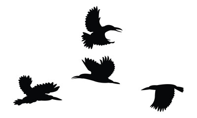 Flying Amazon kingfisher bird Silhouette Design  And Vector Illustration. 