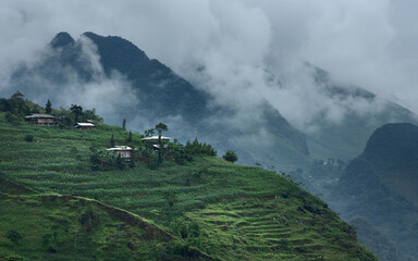 Small farmers houses among corn plantations on the slopes of the hills in remote parts of Ha Giang...