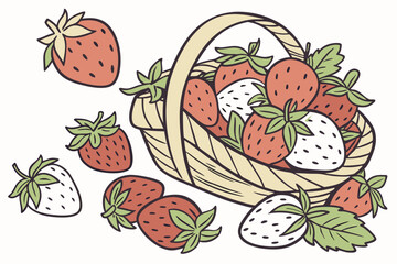 Basket of fresh red and white strawberries