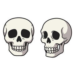 skull and crossbones