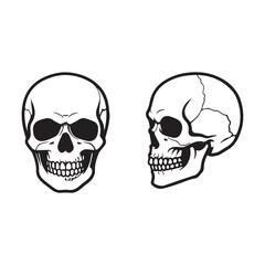 skull and crossbones