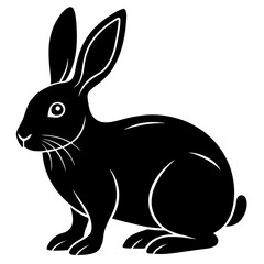 black rabbit isolated on white
