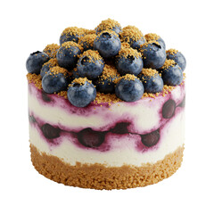 Delicious blueberry cheesecake with graham cracker crust and fresh berries on top