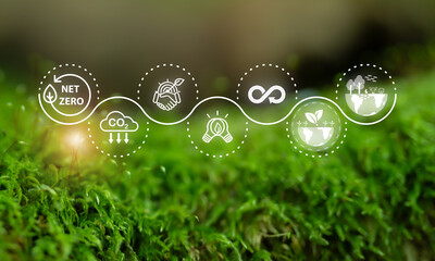 Plakat Net Zero Sustainability Path concept. Sustainability journey toward net zero, featuring circular icons for carbon reduction, clean energy, environmental partnerships and circular economy.