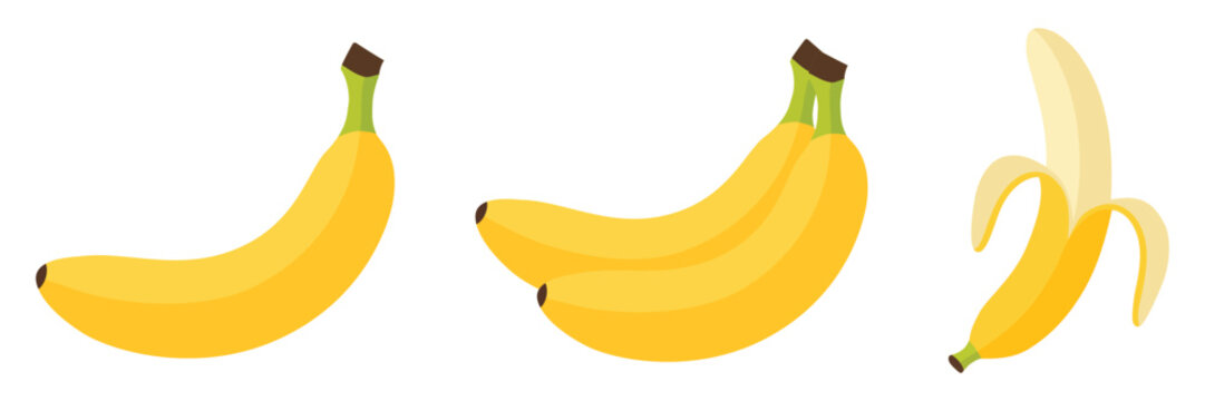 
Fresh yellow bananas vector images in various stages: single banana, bunch of banana, and peeled banana, illustrating healthy fruit options for snacks and culinary uses