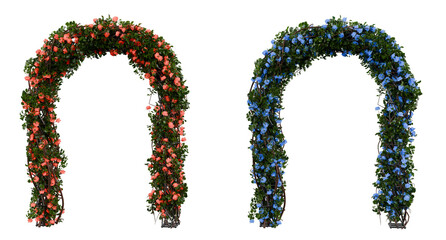 Floral Arch with Red and Blue Flowers on Transparent Background