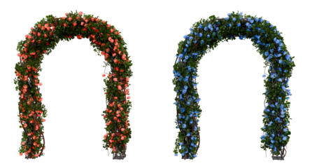 Floral Arch with Red and Blue Flowers on Transparent Background