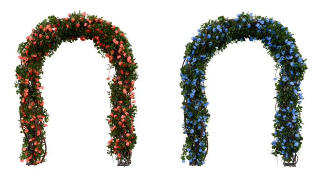 Floral Arch with Red and Blue Flowers on Transparent Background