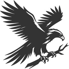 Hawk bird vector silhouette