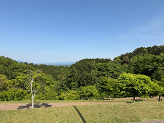 爽やかな青空と新緑の公園風景