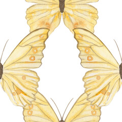Yellow butterflies, delicate watercolor seamless pattern isolated on white. Ideal for textile design, wrapping paper, branding, eco packaging, stationery, wedding decor, digital projects. Hand painted