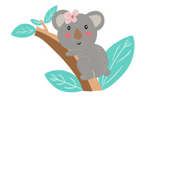 Koala